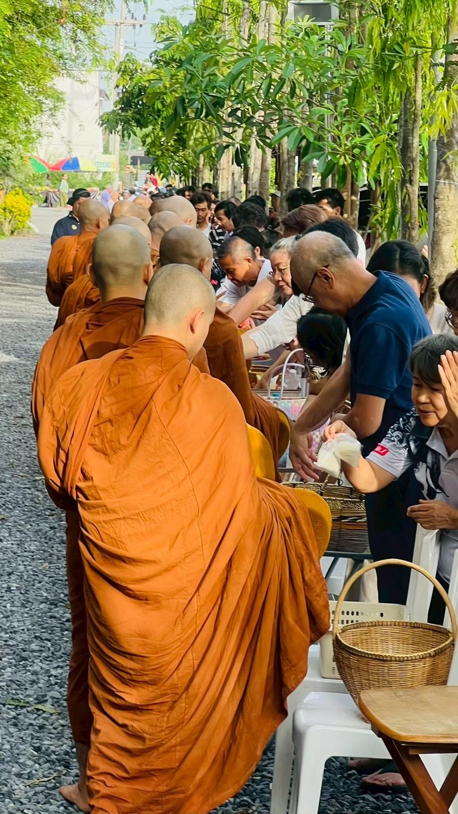 ใส่บาตรพระสงฆ์ยามเช้า