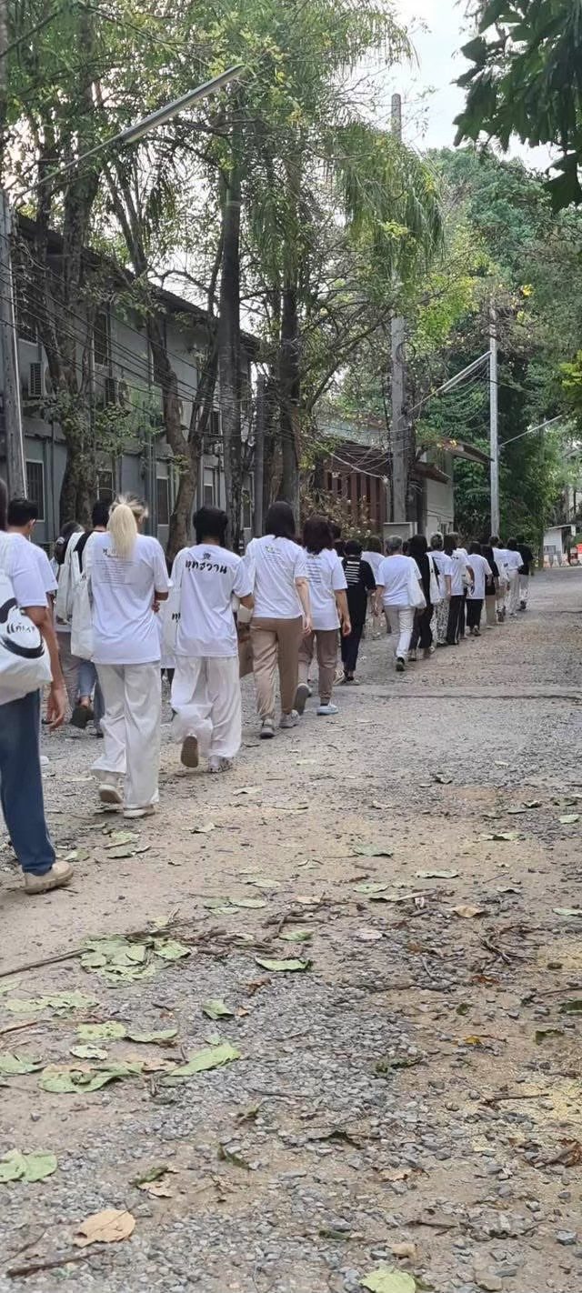 เดินในบรรยากาศร่มรื่น