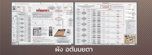 ผังอตัมมยตา
